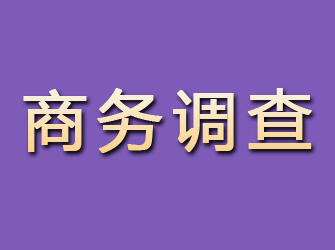 浦东商务调查